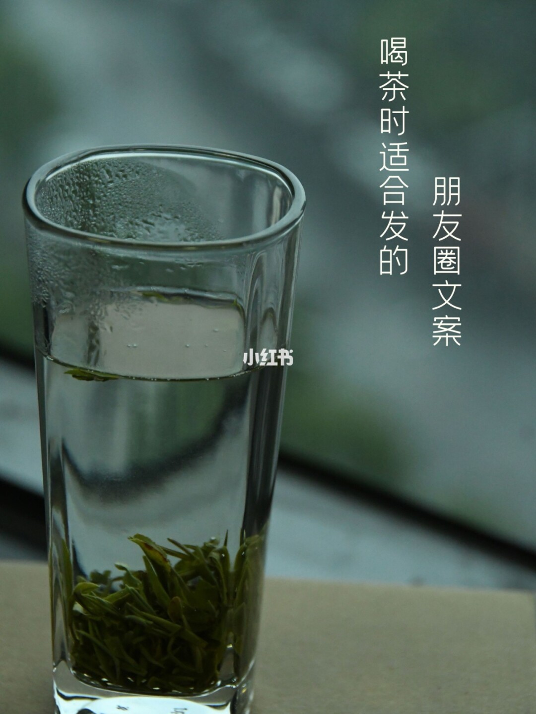 茶言什么意思_茶言茶语是什么意思_茶语是啥