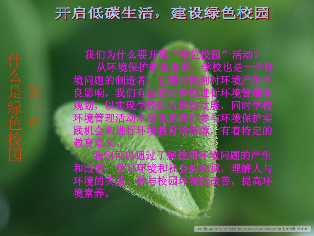 征途绿色，校园文化的新时代