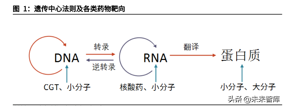 死亡细胞图纸_死亡细胞图纸_死亡细胞图纸