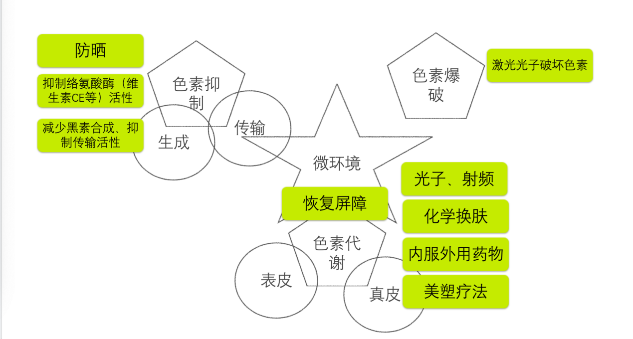 美食家推荐：脉冲黄桃魅力解析