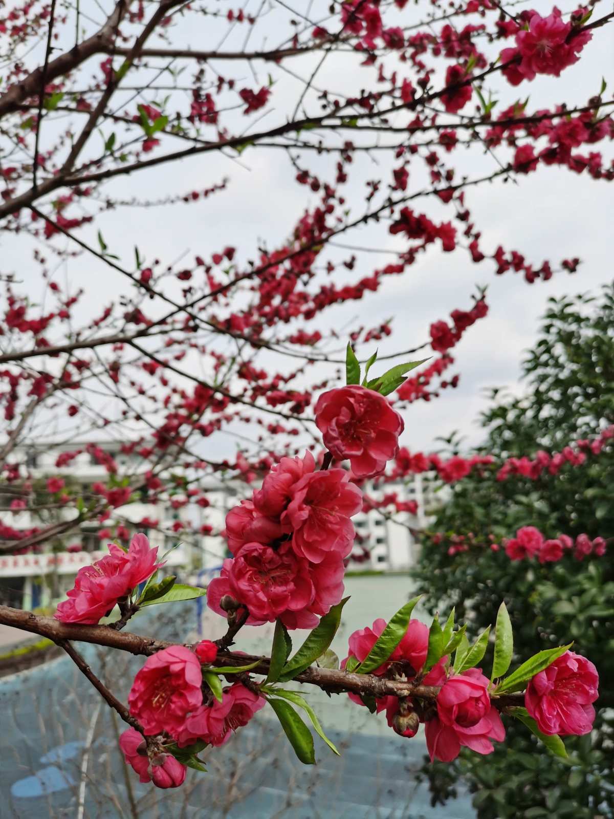 出售生产设备_桃色恋人_济宁口腔医院预约挂号