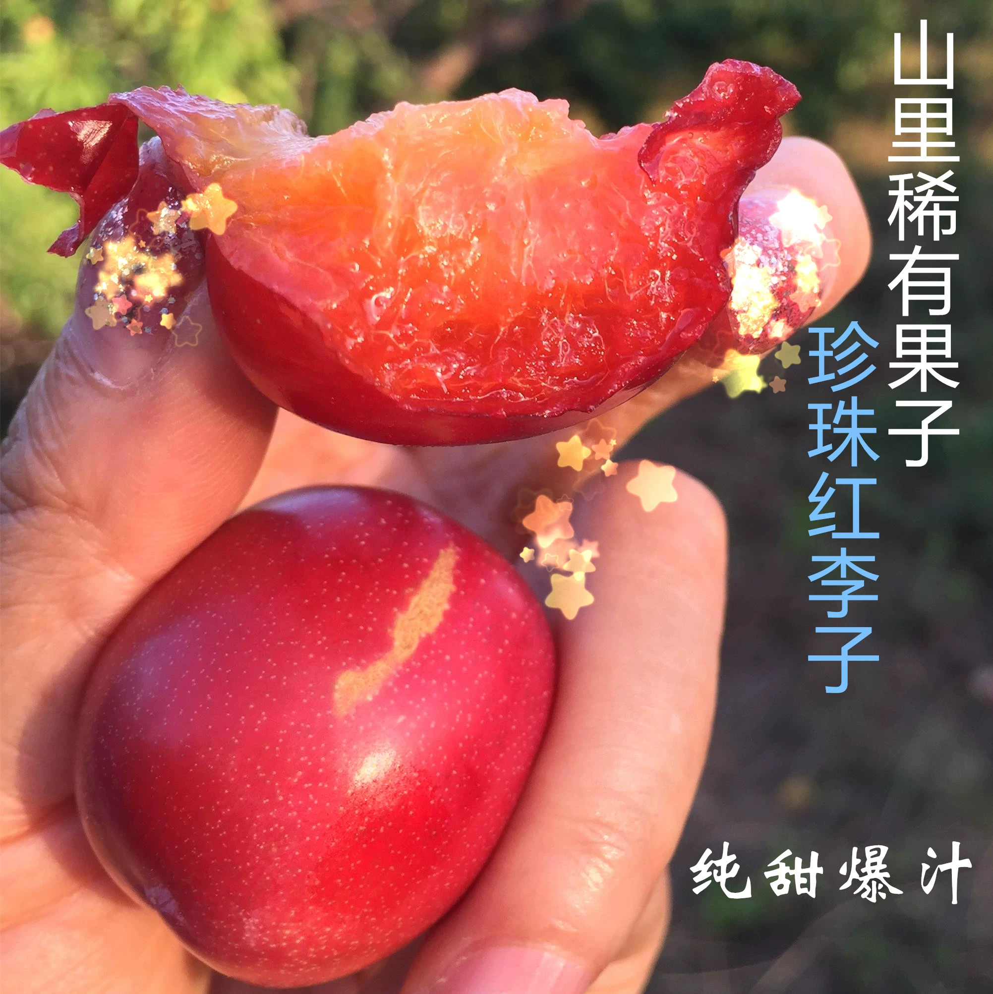 红布林_布林结怎么打结_布林结