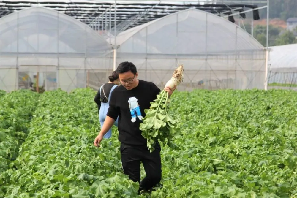 我的牧场_牧场养什么升级快_回到牧场