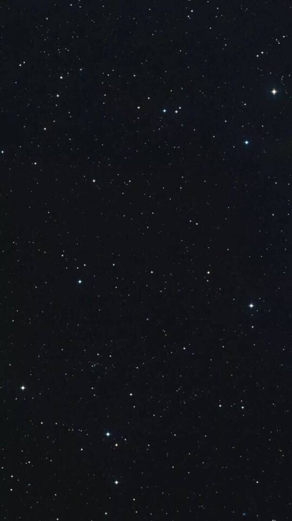小猪佩奇_小点点_小儿垂钓古诗