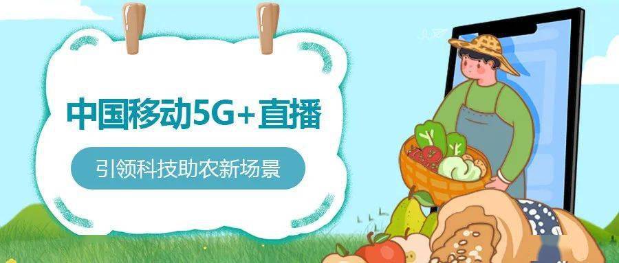 新茶直播app免费下载_新茶直播app免费下载_新茶直播app免费下载