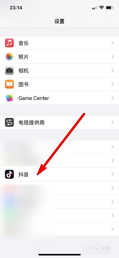 抖音小游戏iphone_苹果手机可以玩抖音云游戏_抖音游戏在哪里玩苹果手机