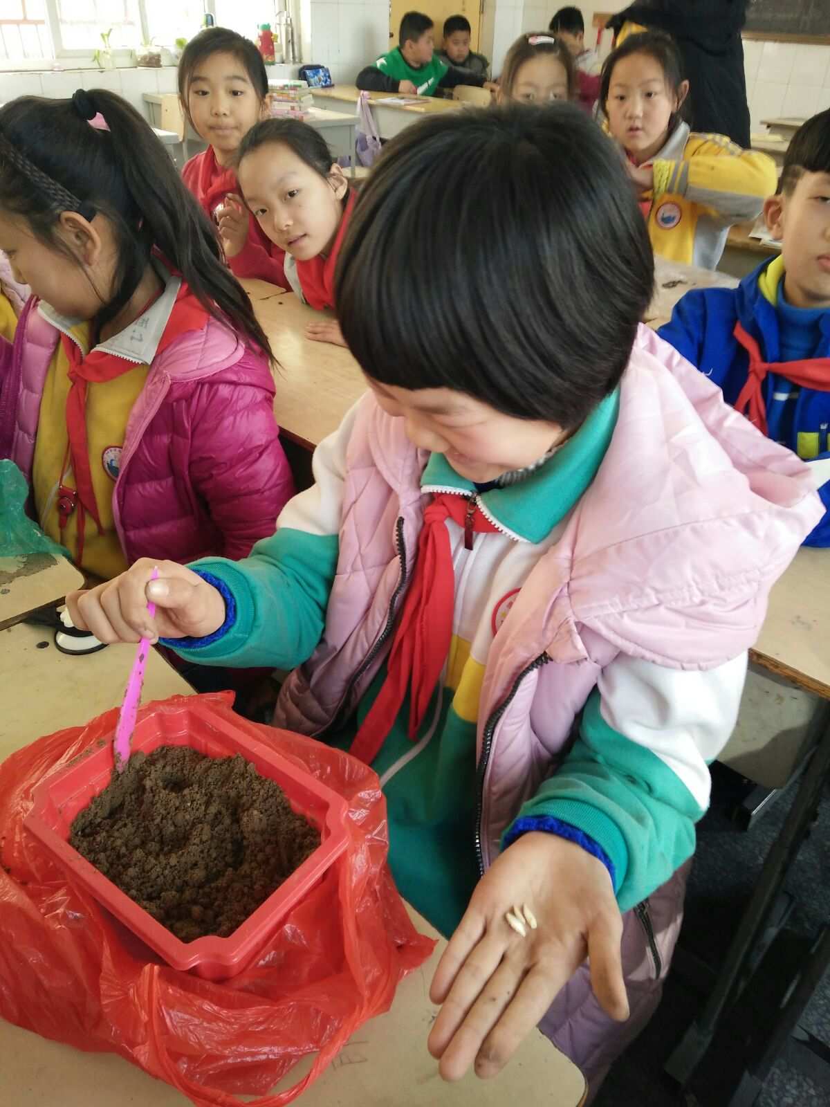 容易生存的种子手机版游戏-简单生存：种子手机游戏