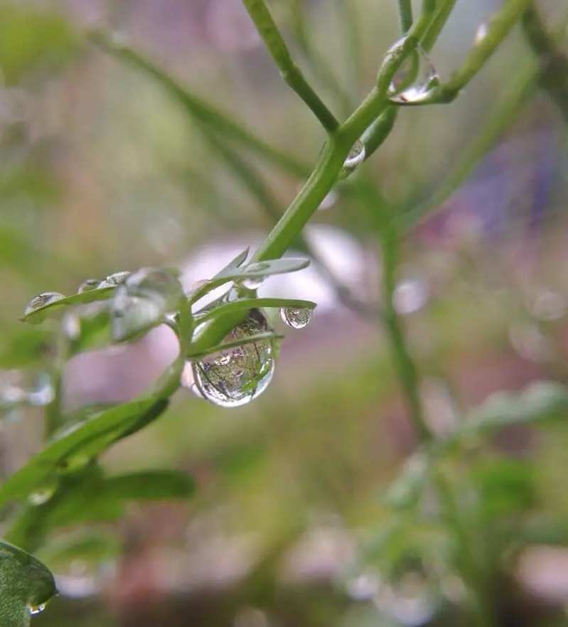 雨后的故事动态qq动态图片_雨后动态句子_雨后图片说说