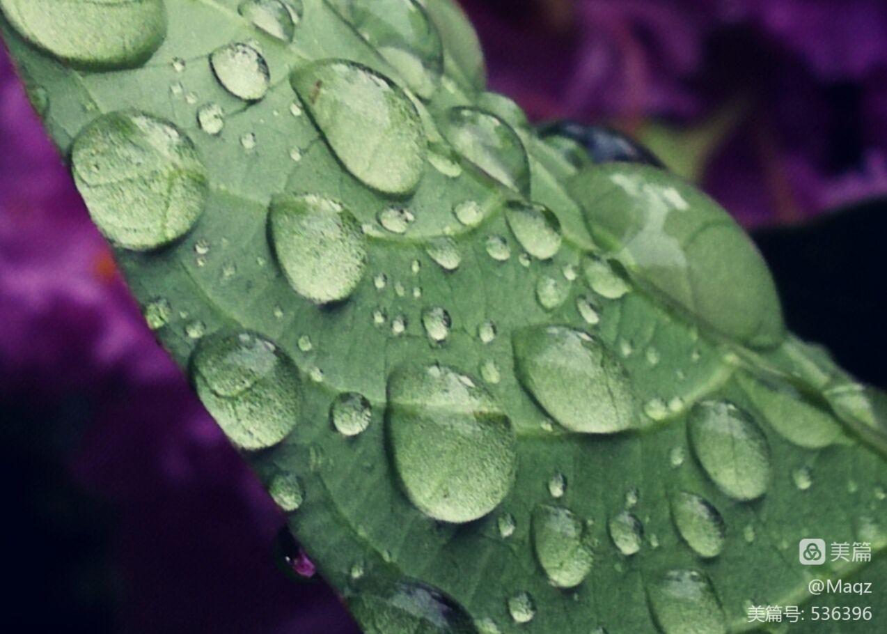 雨后动态句子_雨后图片说说_雨后的故事动态qq动态图片