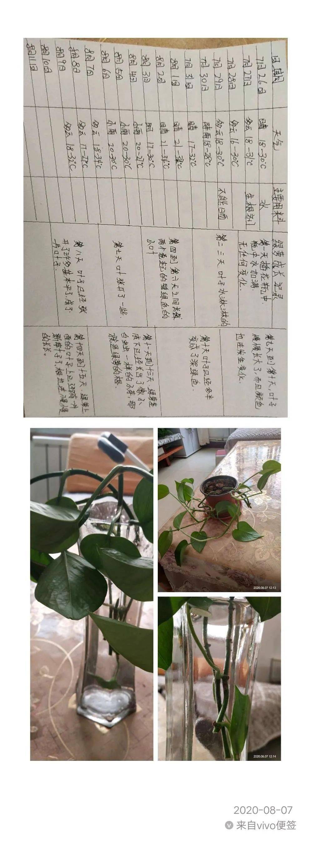 花语程行3_花语程行人物图片_花语程行5季预告