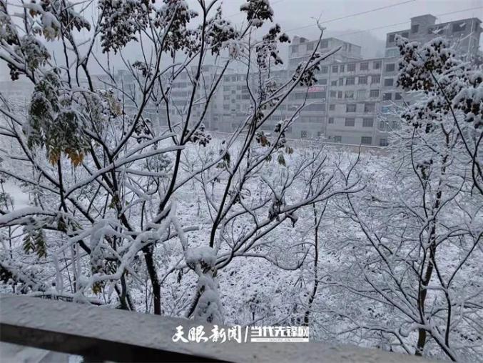 水城雪风人物关系_水城雪风攻略_水城雪风