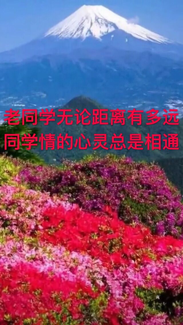 苏洵的六国论_苏洵的故事_苏洵