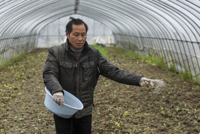 种地建房子的手机游戏_手机建房种地游戏_种地建房子的休闲游戏