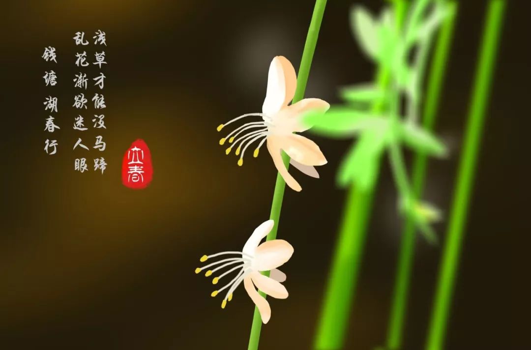 节气查询_今日二十四节气查询_今日节气查询