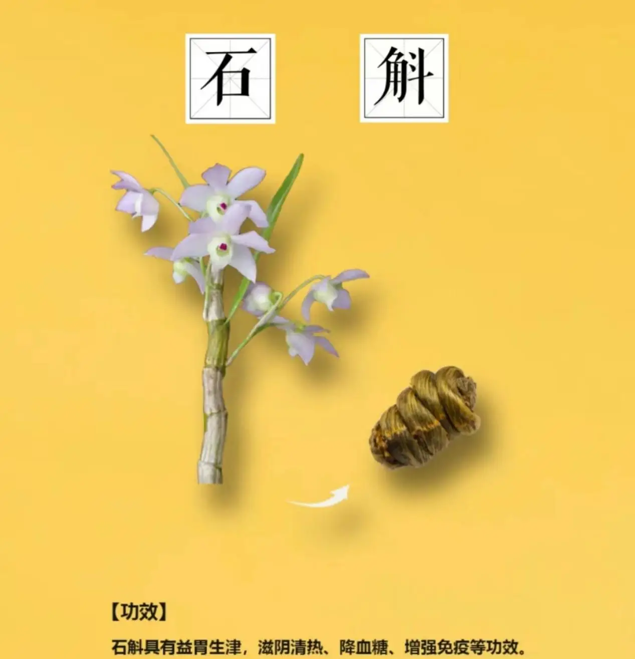 女装山脉_女装山脉yooooo_山脉女装psp版
