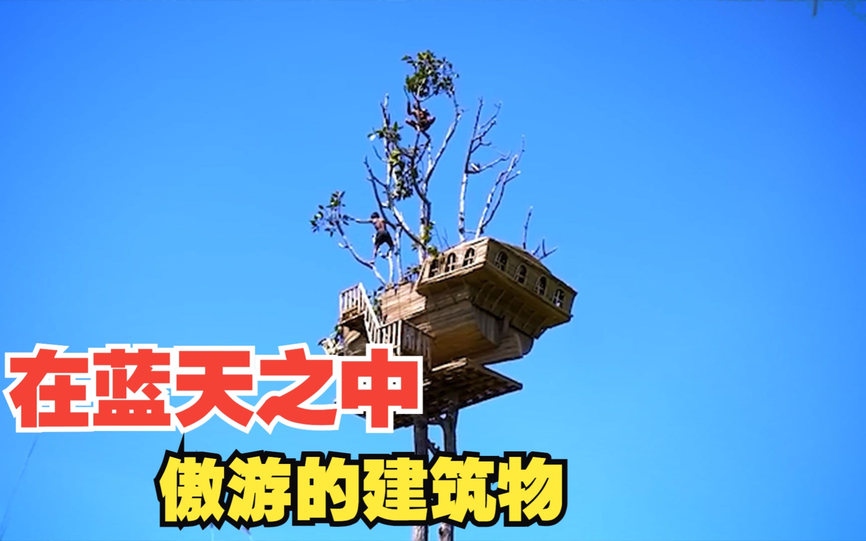 搜索新闻生存_新闻联播exe_手机多人生存游戏新闻联播