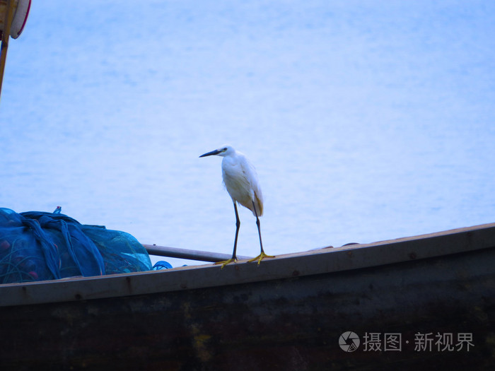 鸟船_鸟船与福船_鸟船遗迹