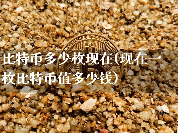 比特币实时价格行情_比特币实时价格_比特币实时价格行情在哪里看