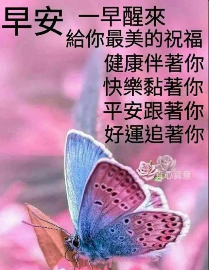 希望希望是什么意思啊_希望皇_希望呀希望呀把我忘记