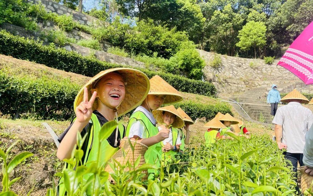 普洱怎么玩儿_普洱手机游戏_普洱麻将app下载