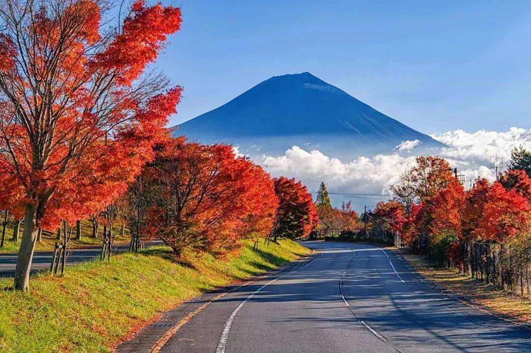 过年是1月还是2月_2022年过年的时候是几月几日_过年的那个月是阴历还是阳历