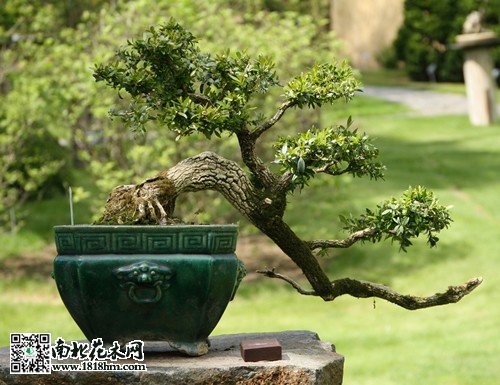 货币虚拟香港怎么办_香港虚拟币合法_香港虚拟货币