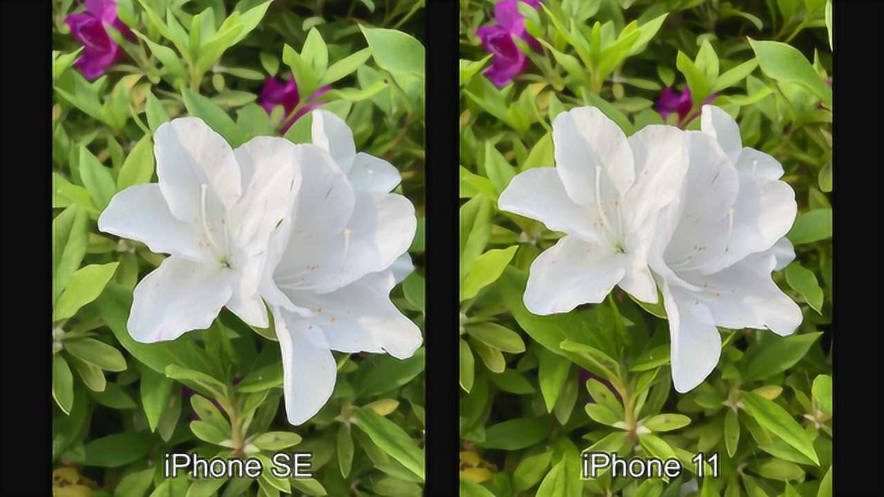 iPhonepro11尺寸_iPhonepro11平板_iphone11和iphone11pro