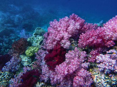 深海迷航扫描室模组_深海迷航扫描室怎么用_深海迷航扫描室不能建在地基上