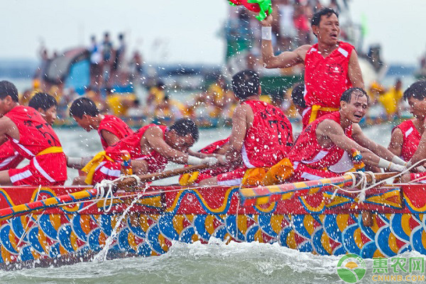 端午节五毒是哪五毒_端午节五毒是什么_五毒端午节是哪五毒