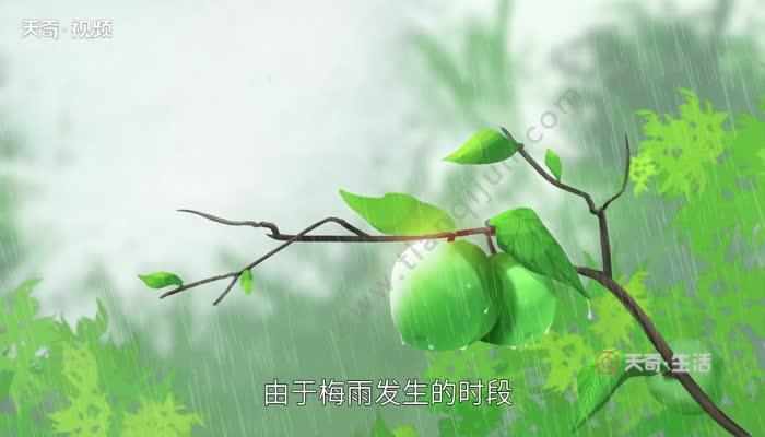 3月份是梅雨季节吗_梅雨季节指的是哪个月_梅雨季节的月份