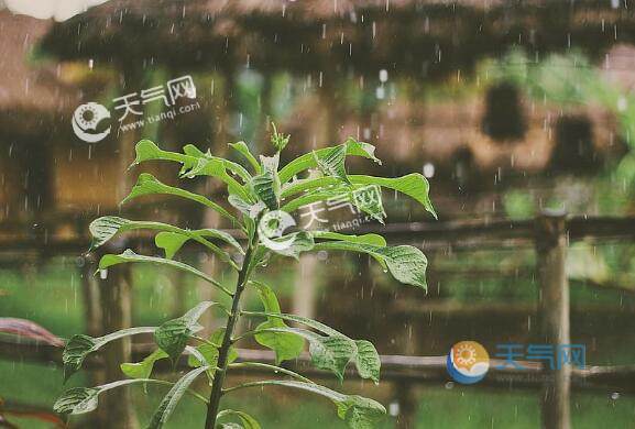 梅雨季节的月份_梅雨季节指的是哪个月_3月份是梅雨季节吗