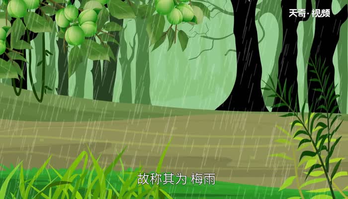 3月份是梅雨季节吗_梅雨季节的月份_梅雨季节指的是哪个月