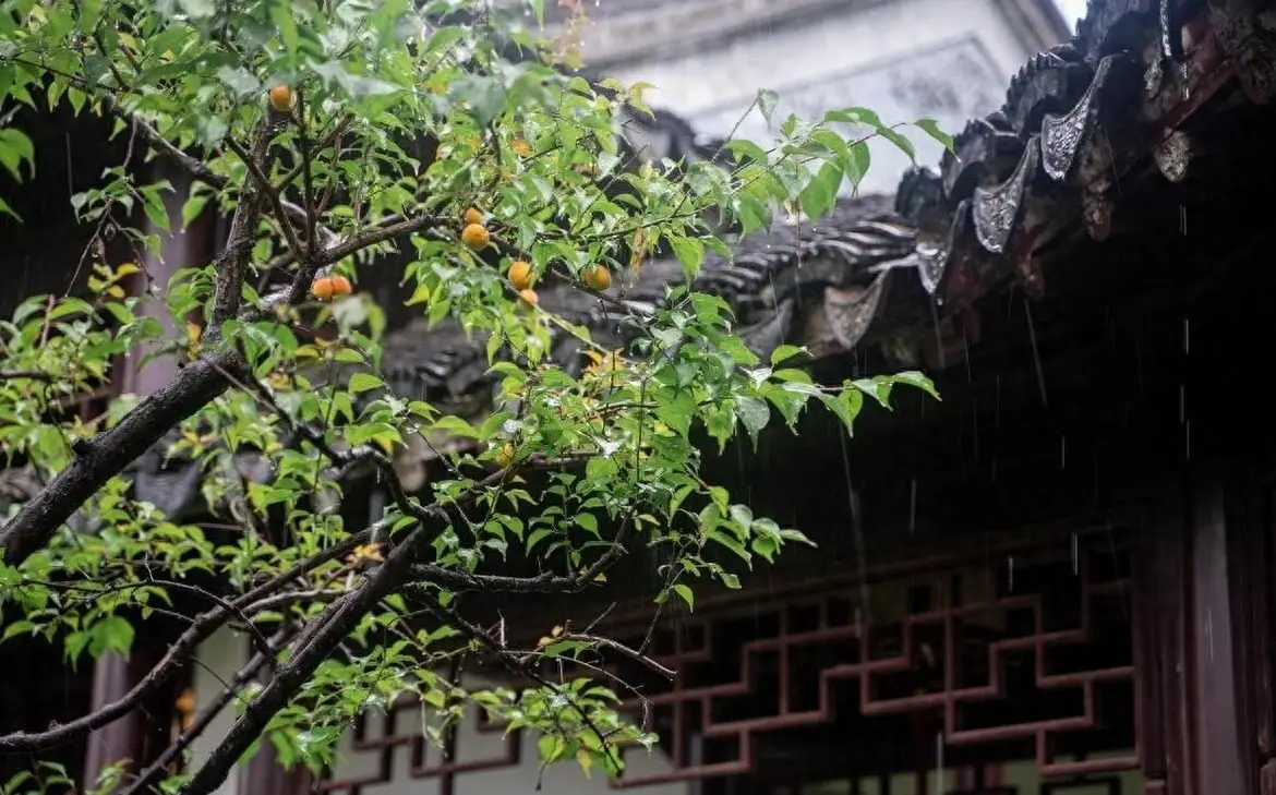 3月份是梅雨季节吗_梅雨季节的月份_梅雨季节指的是哪个月