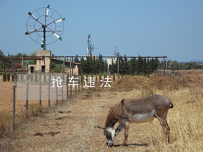 抢车位游戏攻略_抢车位游戏真的赚钱吗_抢车位手机游戏