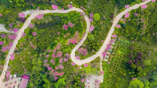 樱川六花_樱川六花_樱川六花