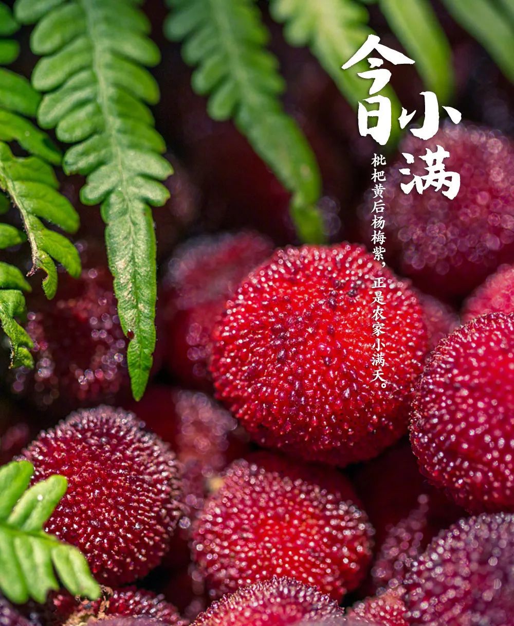 小满的人生境界_小满人生才能圆满_人生最好的状态是小满的解释