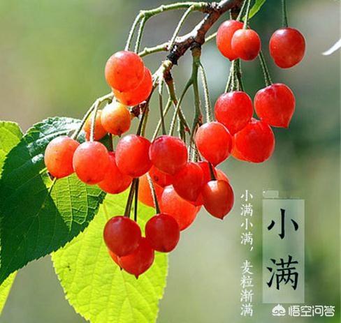 人生最好的状态是小满的解释_小满人生才能圆满_小满的人生境界