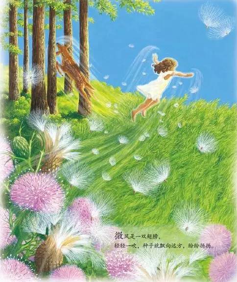 平冢静老师_平冢静本子_静老师是什么意思