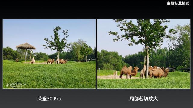 荣耀Pro30+排线松动_荣耀pro30手机参数_荣耀30pro+