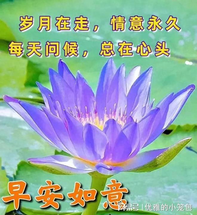 西双版纳泼水节时间和地点_泼水节西双版纳时间2023_西双版纳泼水节时间是哪几天