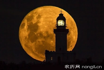 安德鲁卡内基_圣安德鲁日_安德鲁