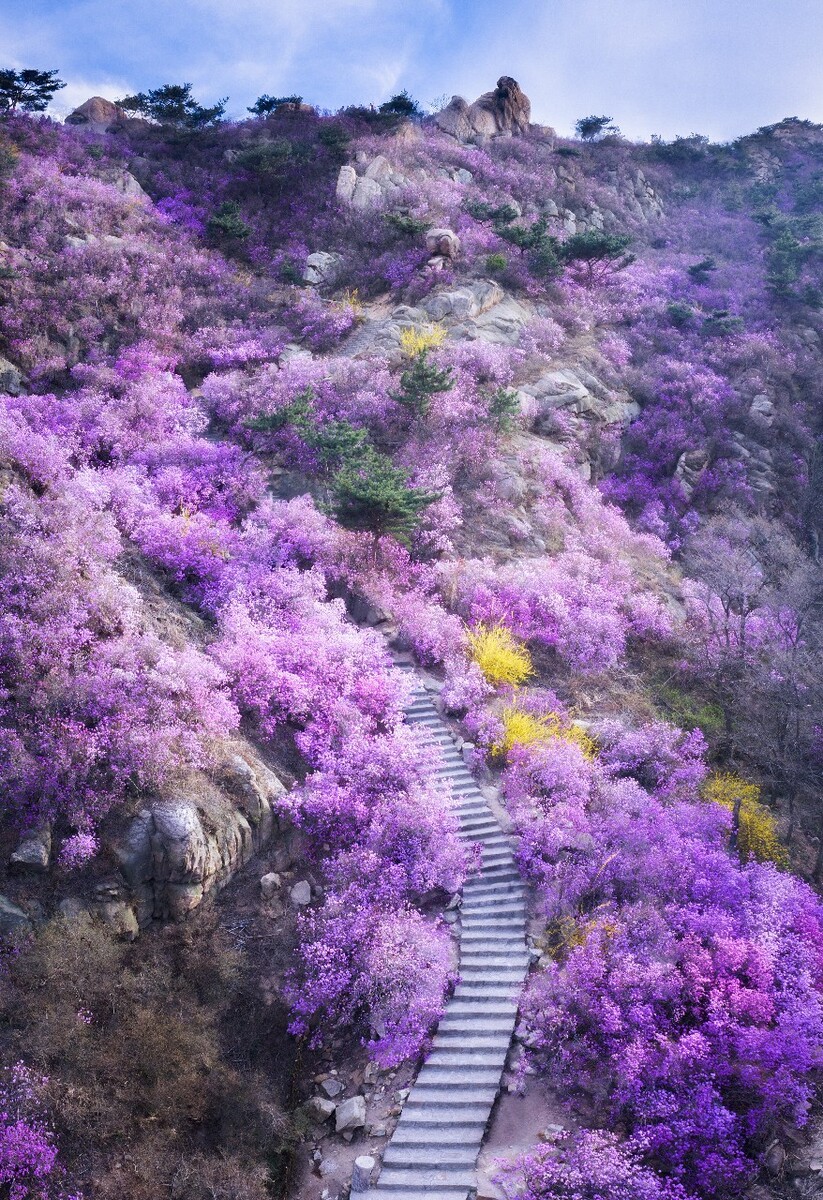 法定日历节假日_法定节假日日历_法定节假日年历