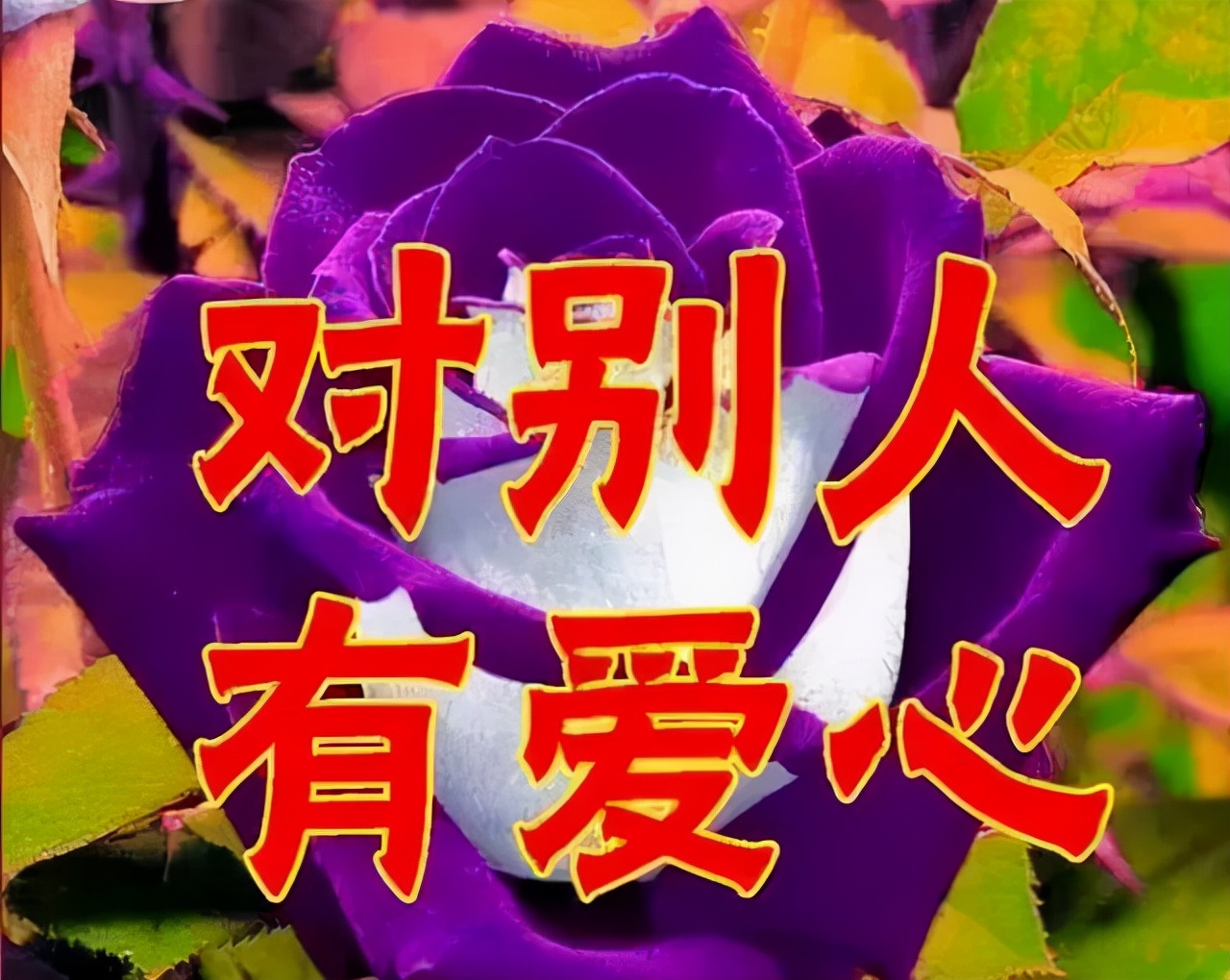 话语女神节祝福语大全_女神节话语祝福_女神节祝福语一句话简短