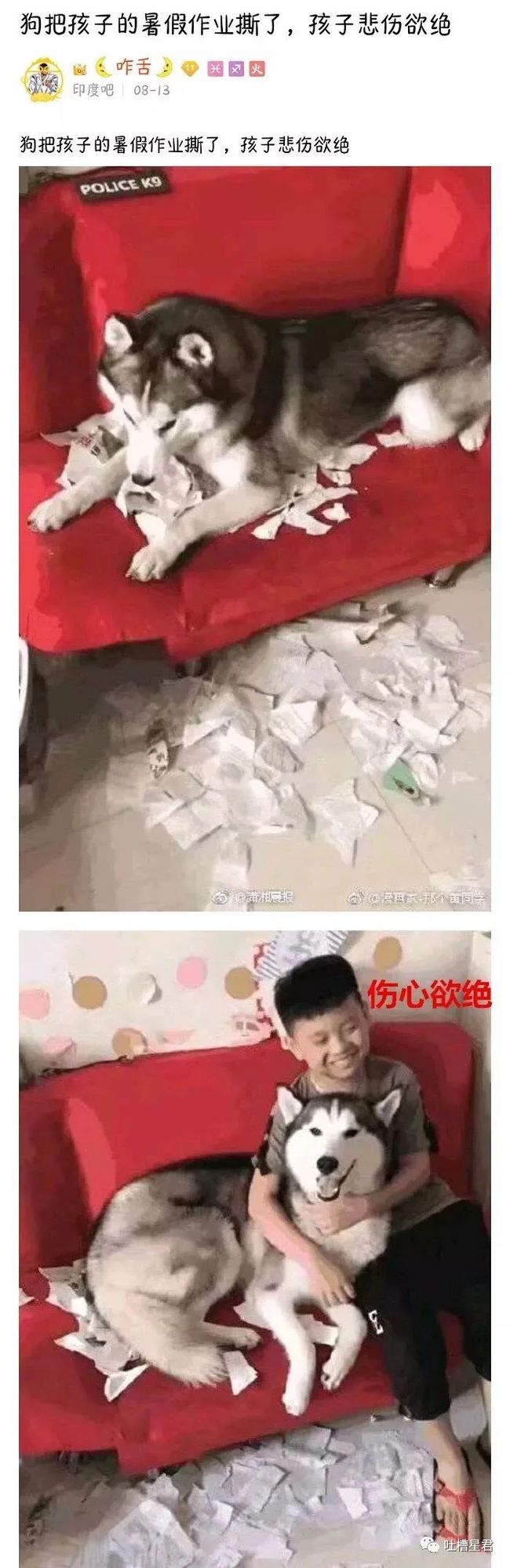 steam沙雕跑酷游戏_跑酷恶搞游戏_沙雕跑酷手机游戏版