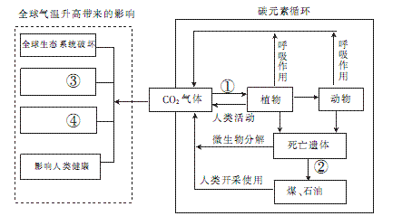 生态功能概念_生态功能系统包括_生态系统的三大功能