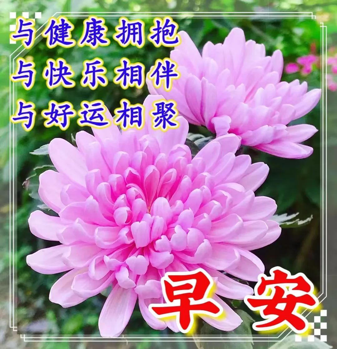 2023年5月最佳日子_2023年哪些日子适合结婚_2023年的好日子