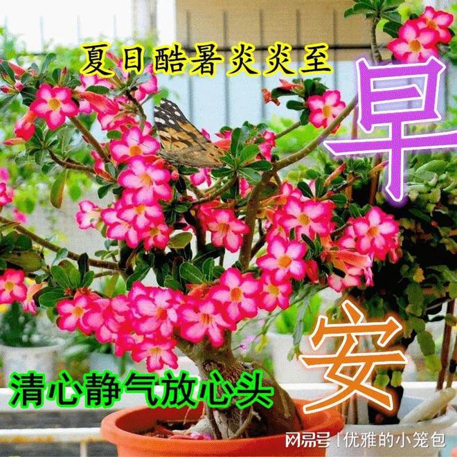 2023年哪些日子适合结婚_2023年的好日子_2023年5月最佳日子