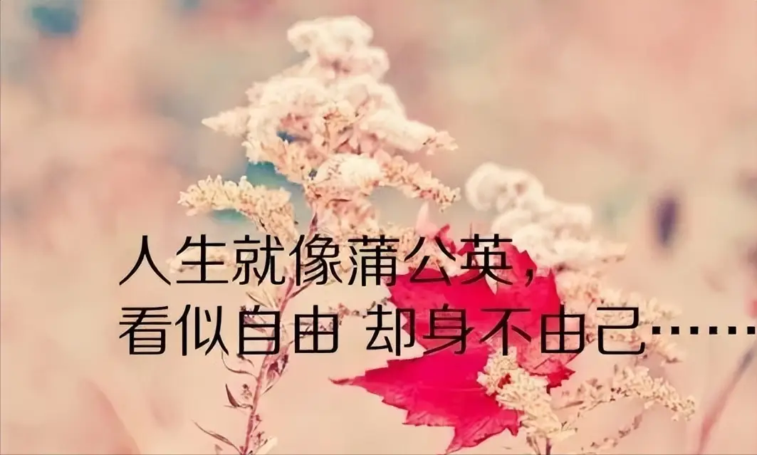 爱丽莎_爱丽莎公主_爱丽莎的眼睛
