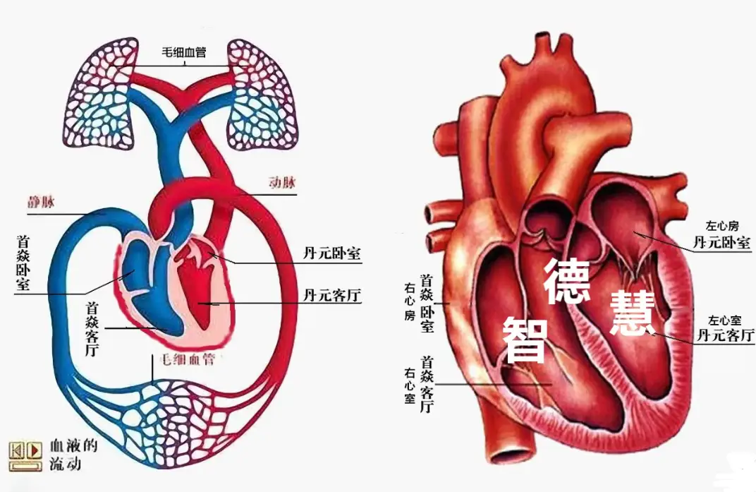 手游无神之界_无神世界中_无神世界中的神明活动吧