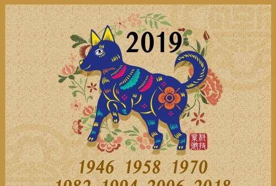 2019年是什么生肖-2019 猪年：可爱温暖与慢吞吞懒散并